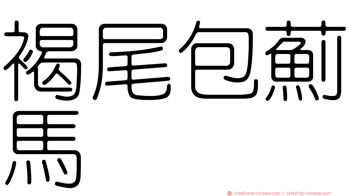 褐尾包薊馬