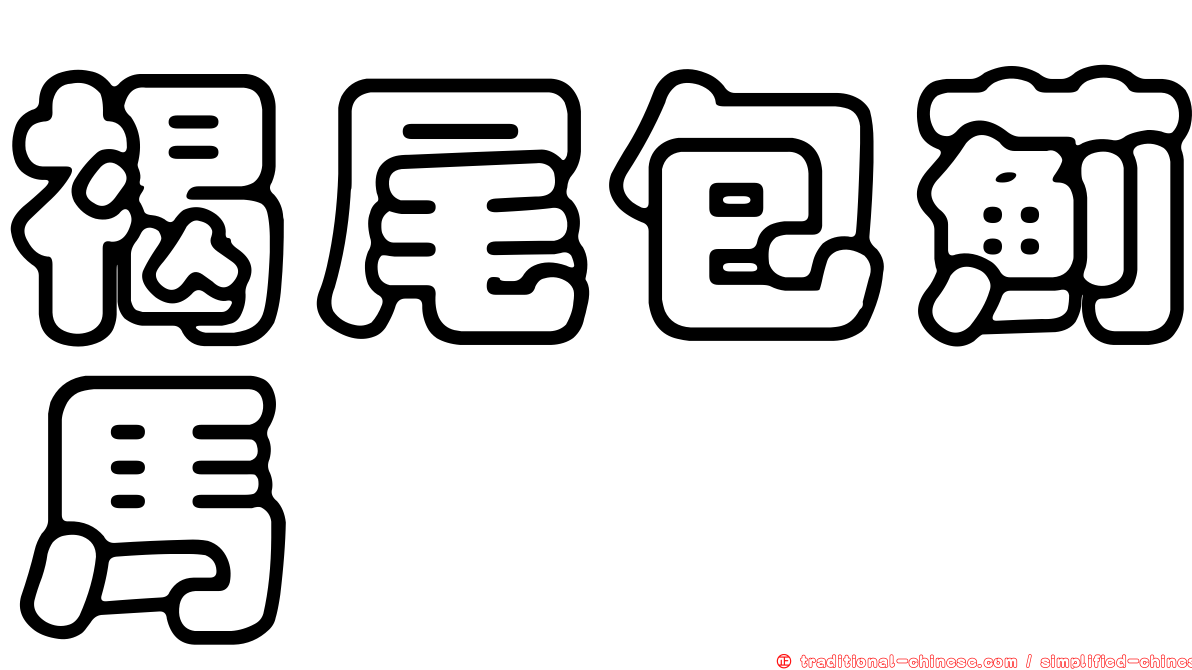 褐尾包薊馬