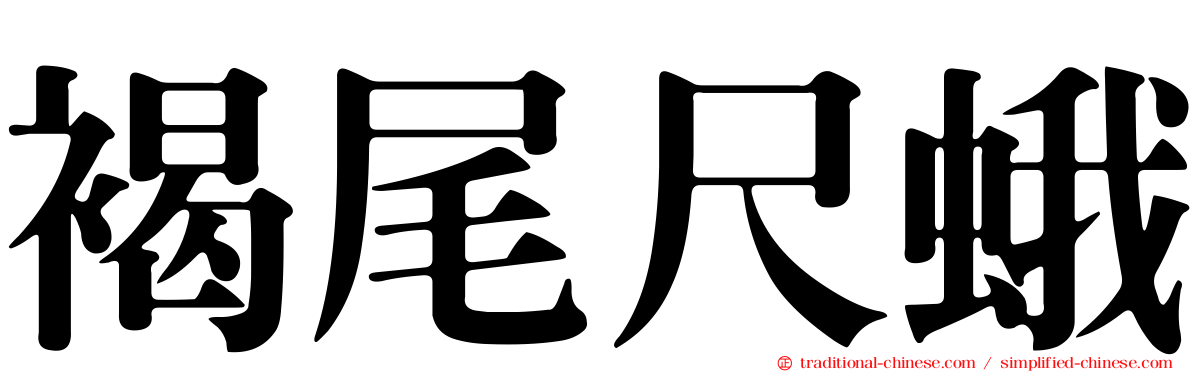 褐尾尺蛾