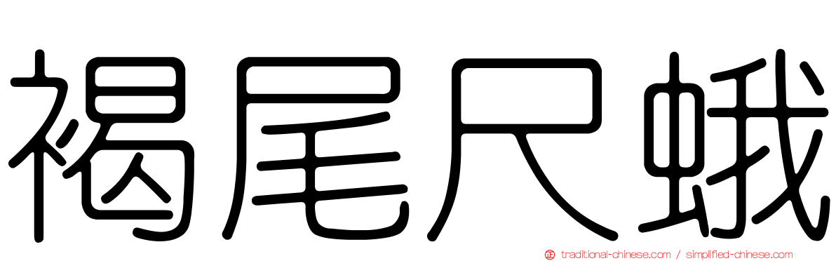 褐尾尺蛾