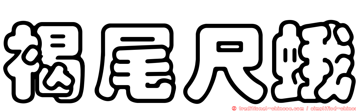 褐尾尺蛾