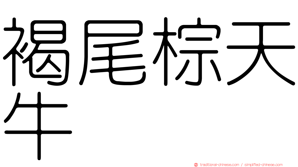 褐尾棕天牛