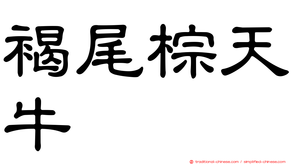 褐尾棕天牛