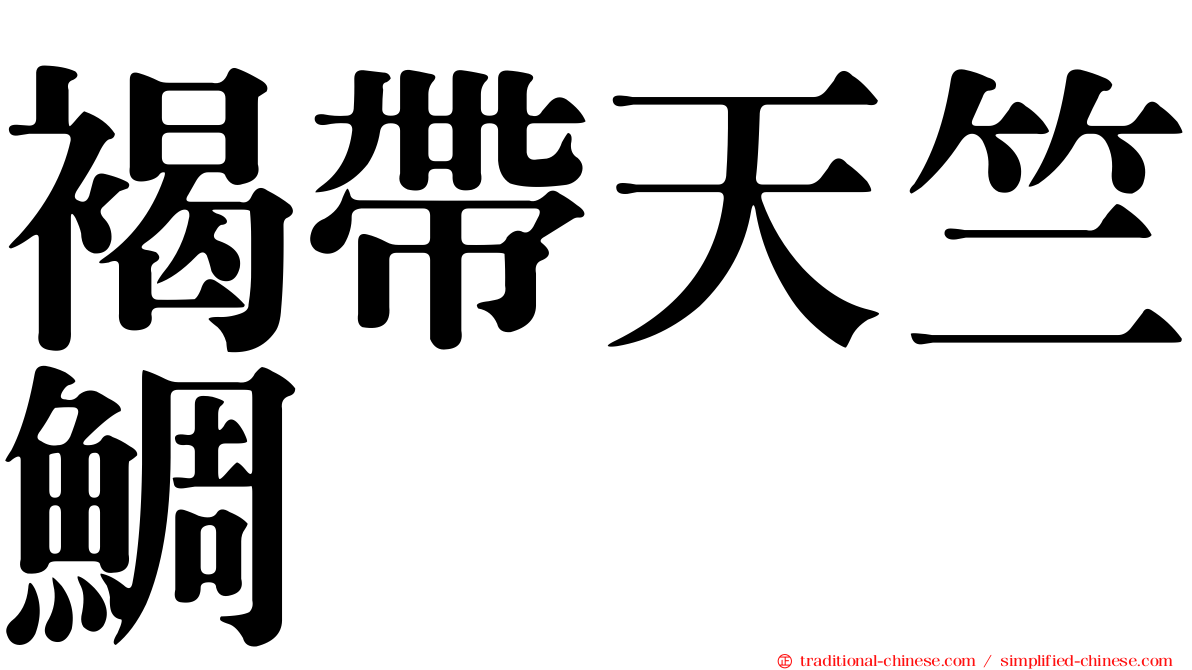 褐帶天竺鯛