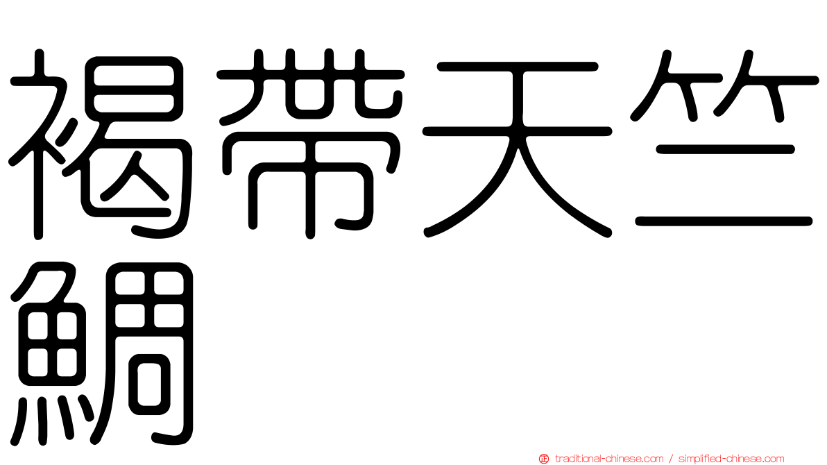 褐帶天竺鯛