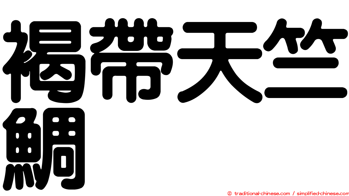 褐帶天竺鯛