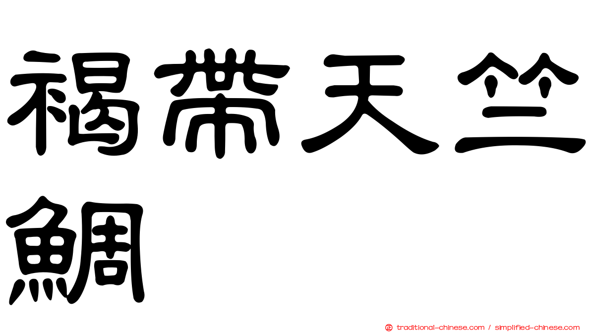 褐帶天竺鯛