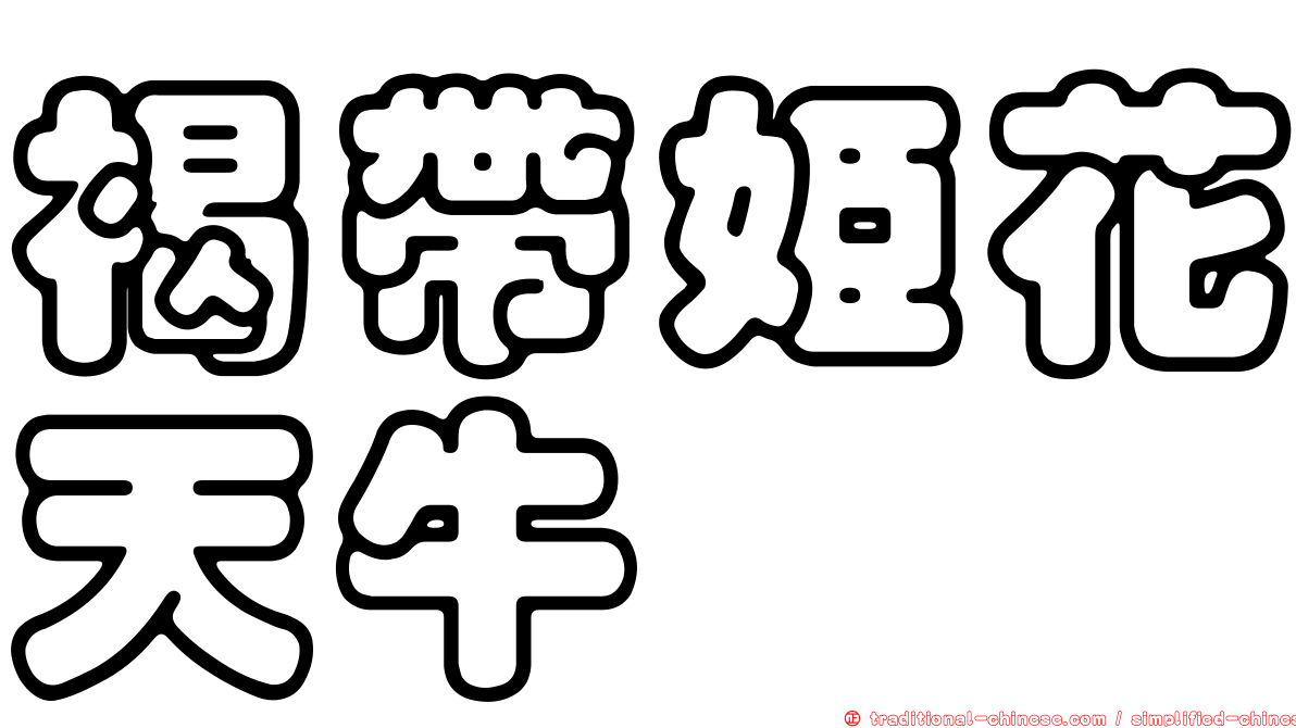 褐帶姬花天牛