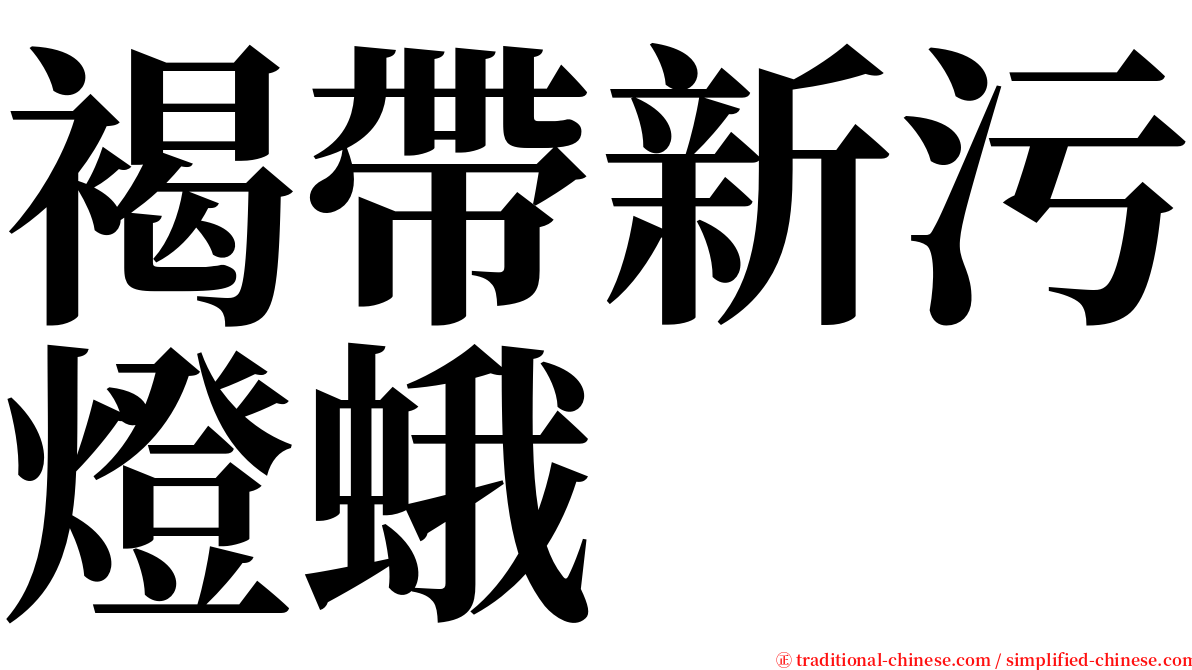 褐帶新污燈蛾 serif font