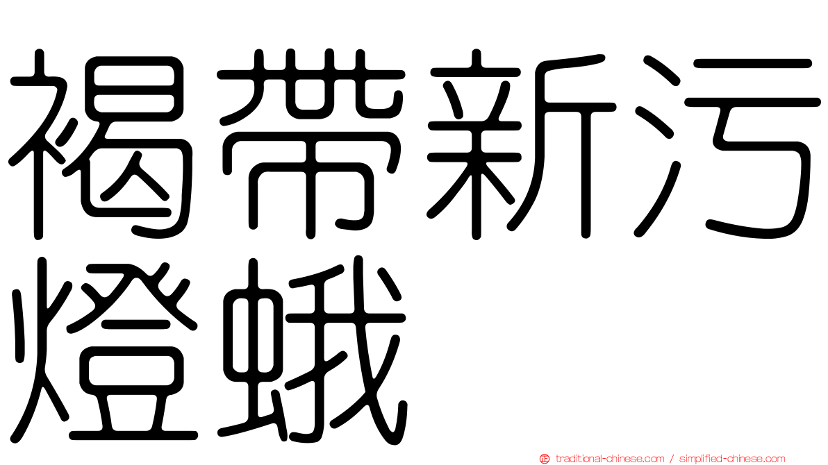 褐帶新污燈蛾