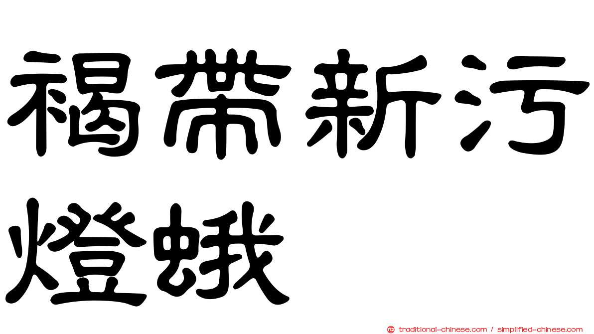 褐帶新污燈蛾