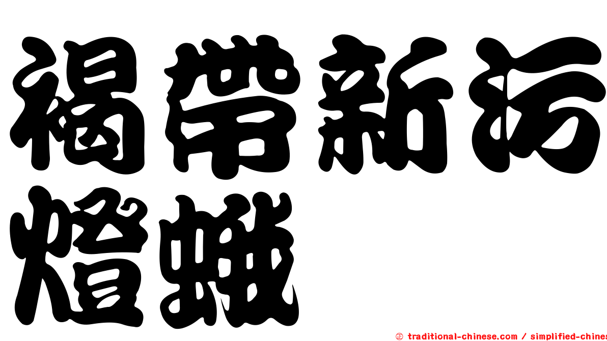 褐帶新污燈蛾