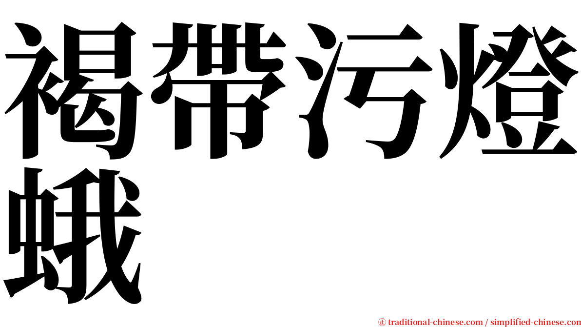 褐帶污燈蛾 serif font