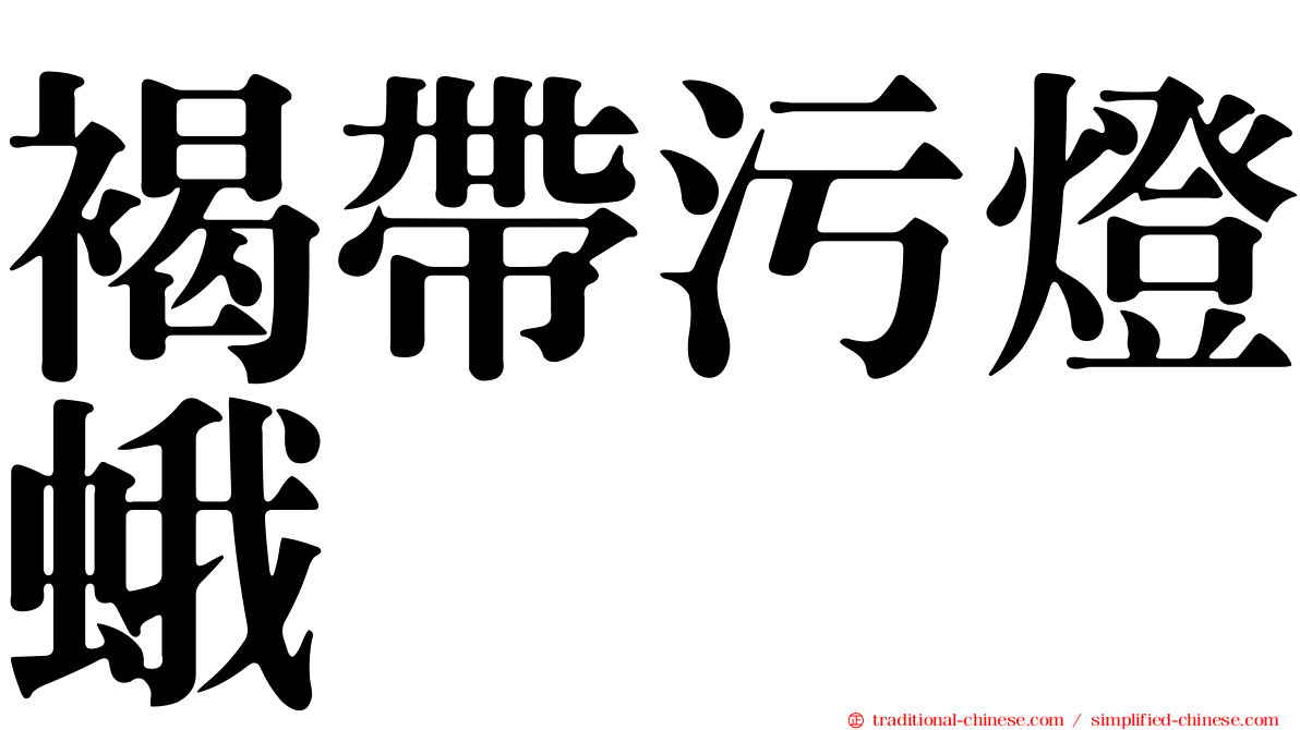 褐帶污燈蛾
