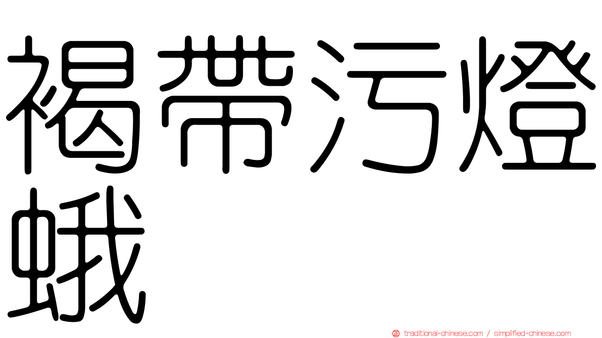 褐帶污燈蛾