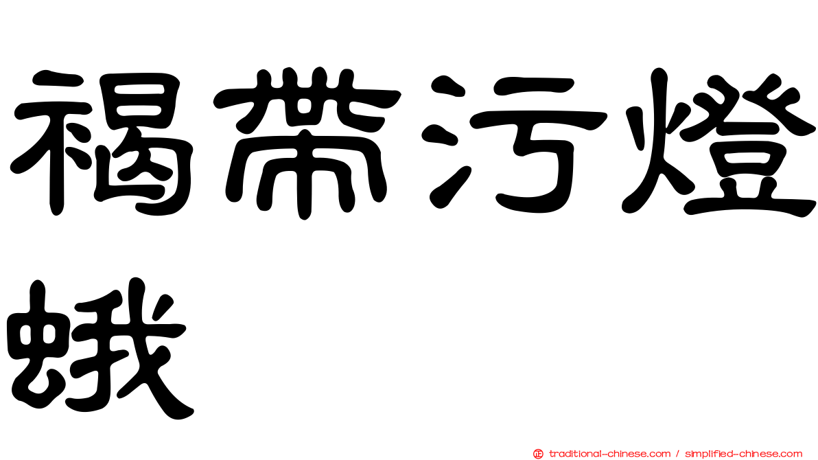 褐帶污燈蛾
