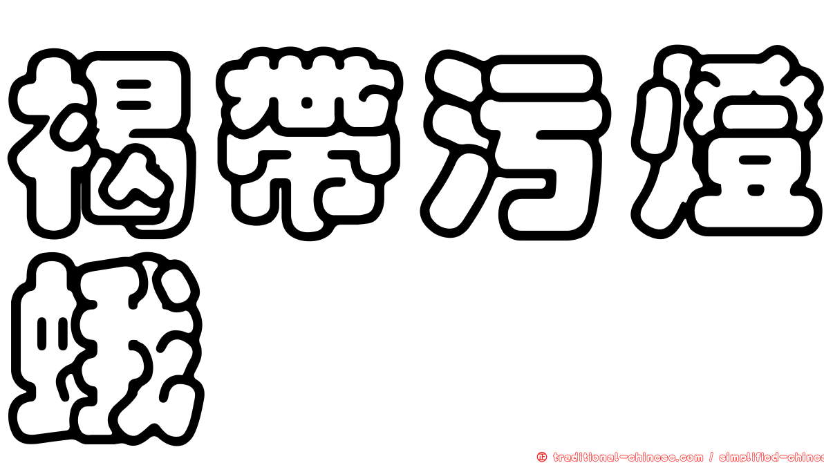 褐帶污燈蛾