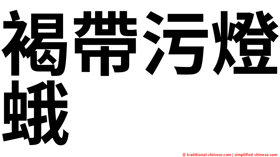 褐帶污燈蛾
