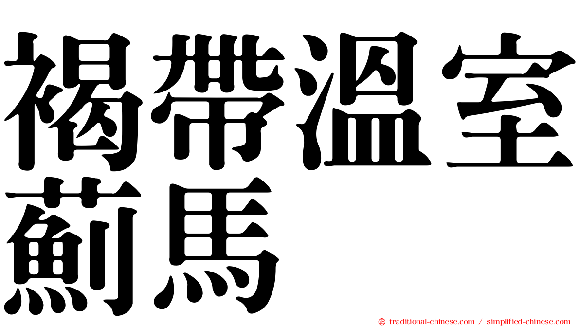 褐帶溫室薊馬