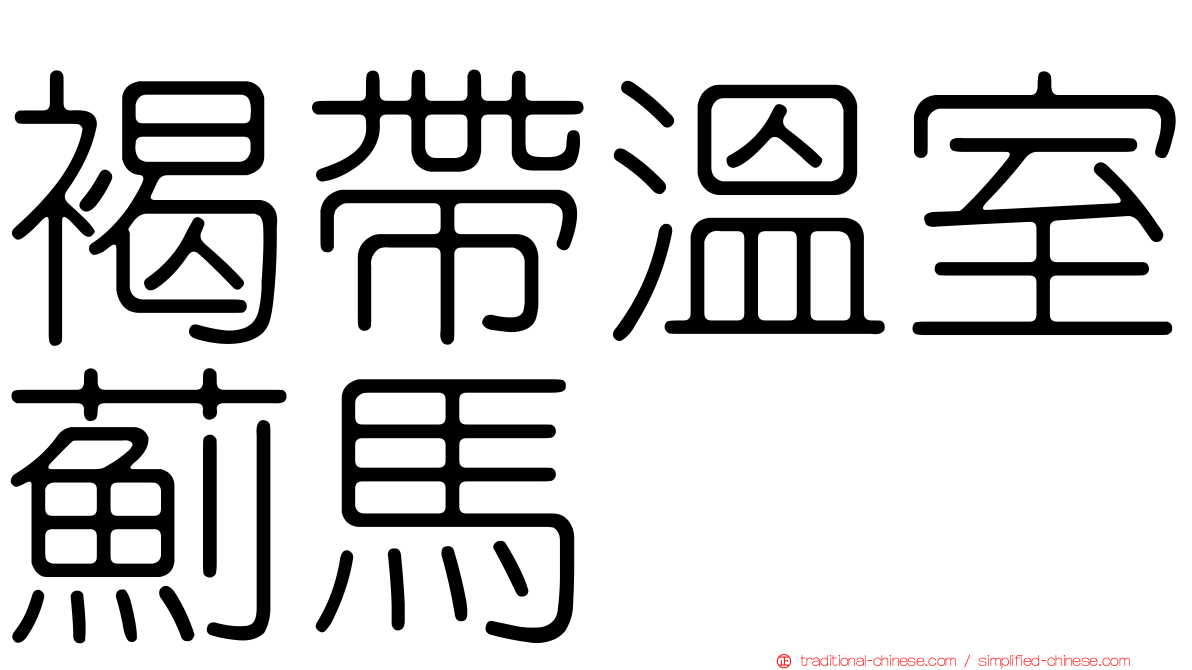 褐帶溫室薊馬