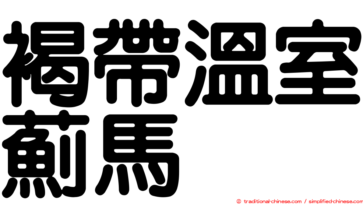 褐帶溫室薊馬