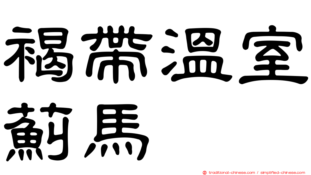 褐帶溫室薊馬