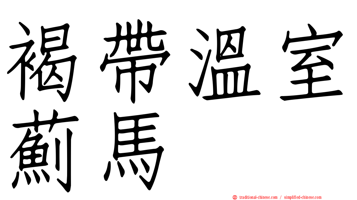 褐帶溫室薊馬