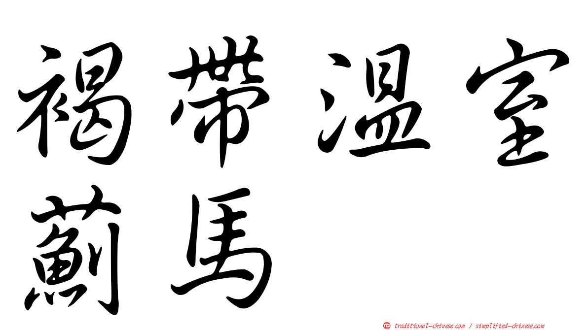 褐帶溫室薊馬