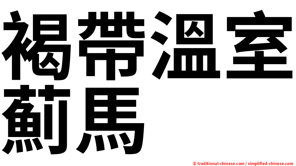 褐帶溫室薊馬