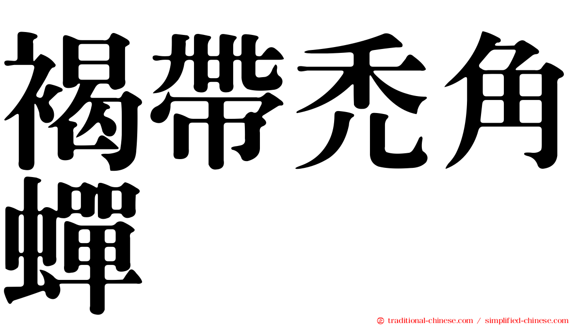 褐帶禿角蟬