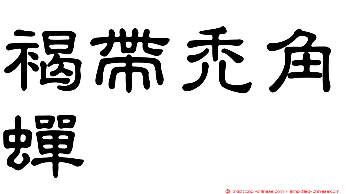 褐帶禿角蟬
