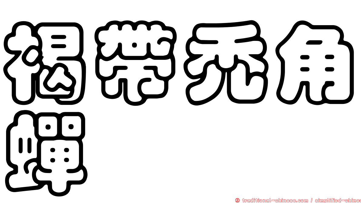 褐帶禿角蟬