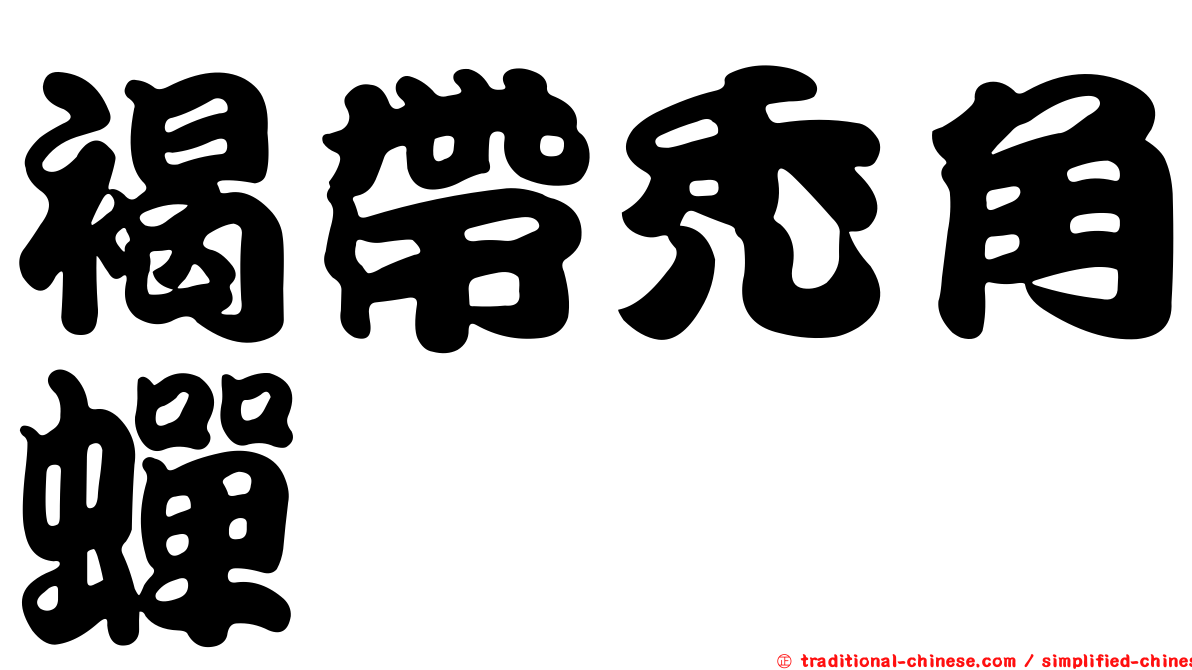 褐帶禿角蟬