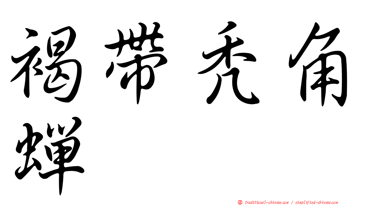 褐帶禿角蟬