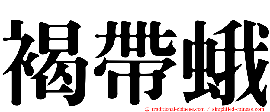 褐帶蛾