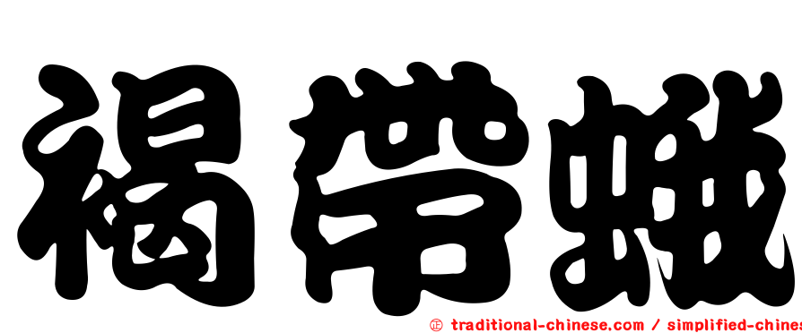 褐帶蛾