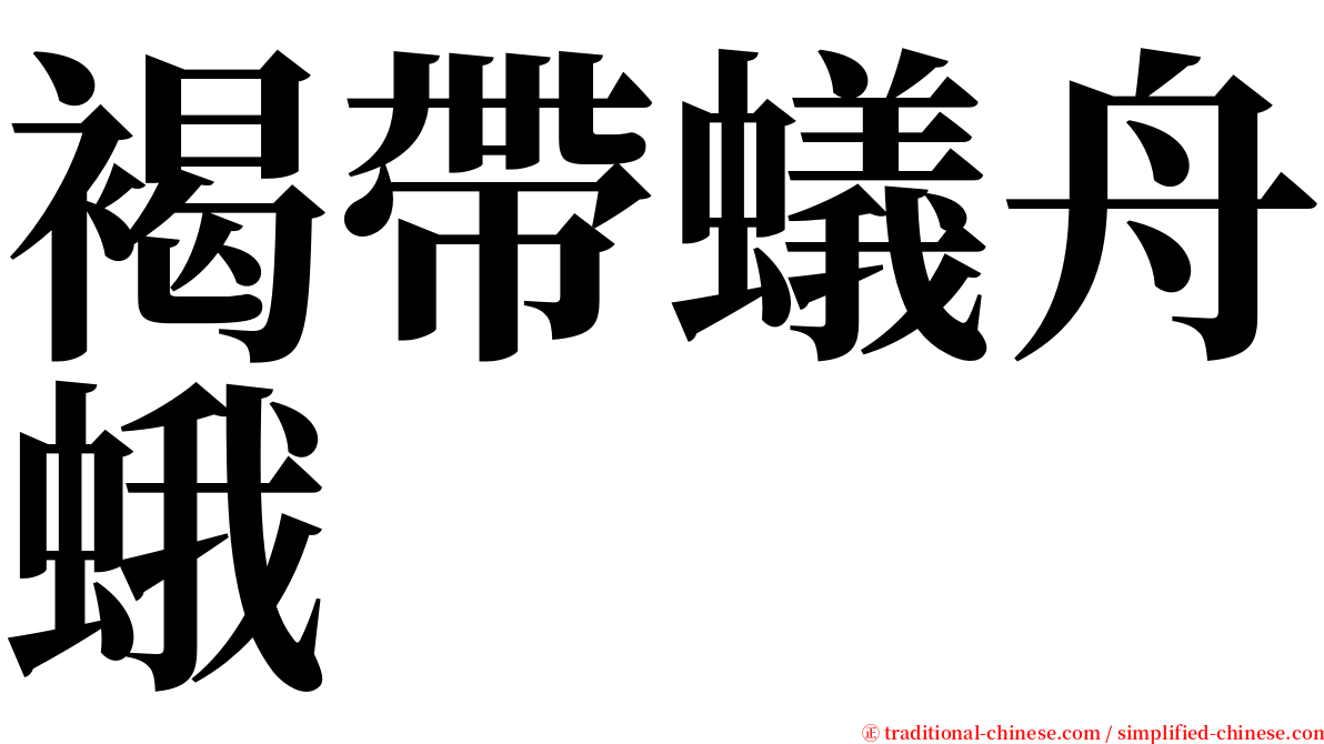 褐帶蟻舟蛾 serif font