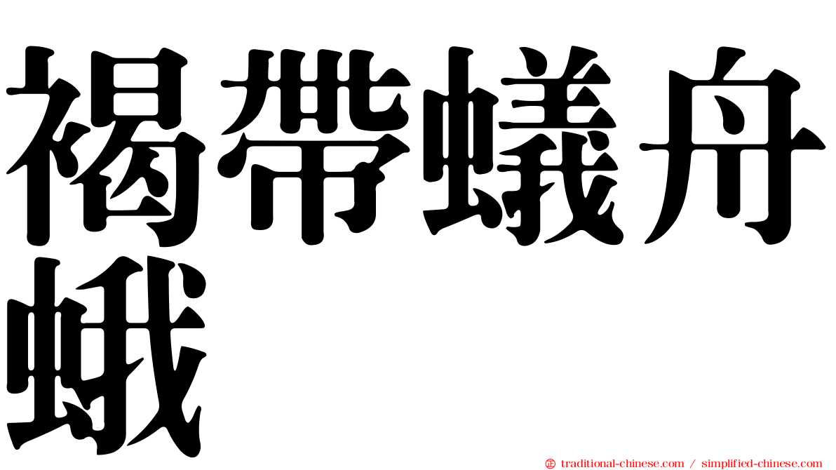 褐帶蟻舟蛾