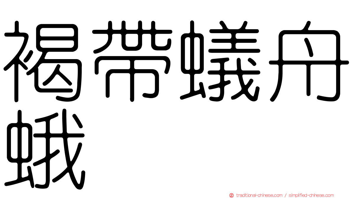 褐帶蟻舟蛾