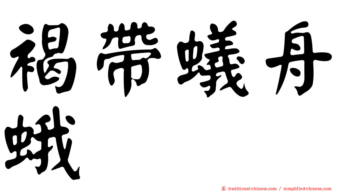 褐帶蟻舟蛾