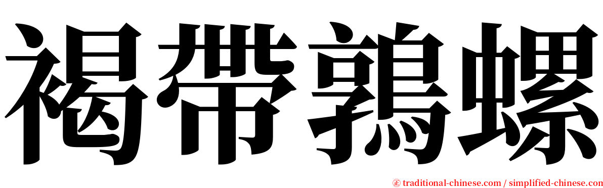 褐帶鶉螺 serif font