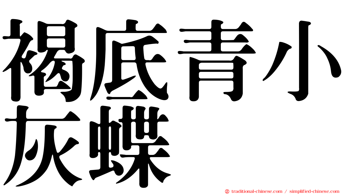 褐底青小灰蝶