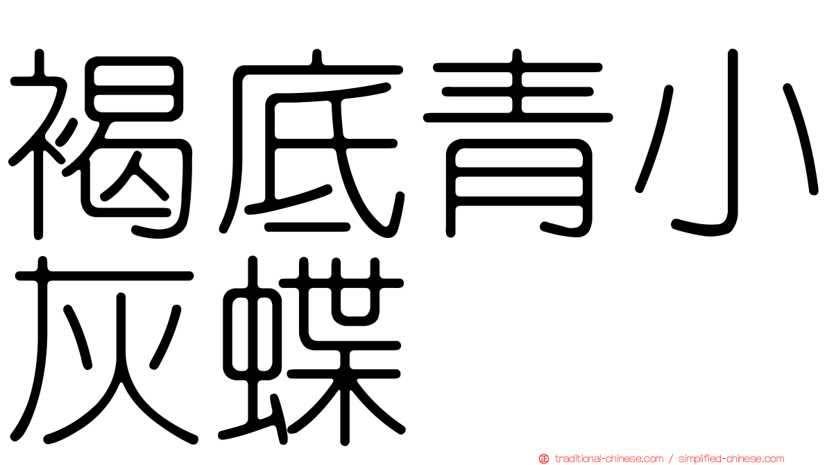 褐底青小灰蝶