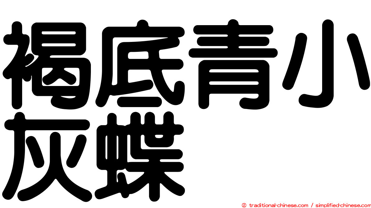褐底青小灰蝶