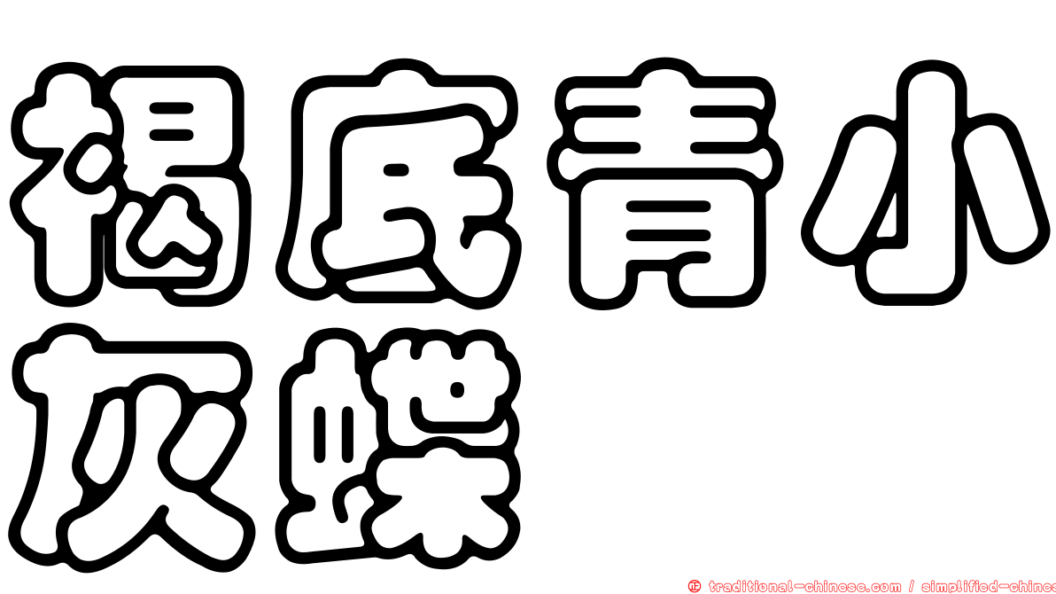 褐底青小灰蝶