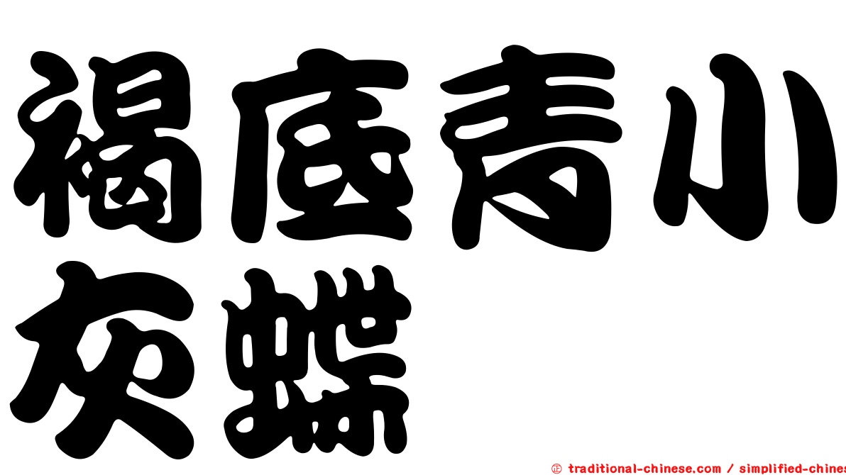 褐底青小灰蝶