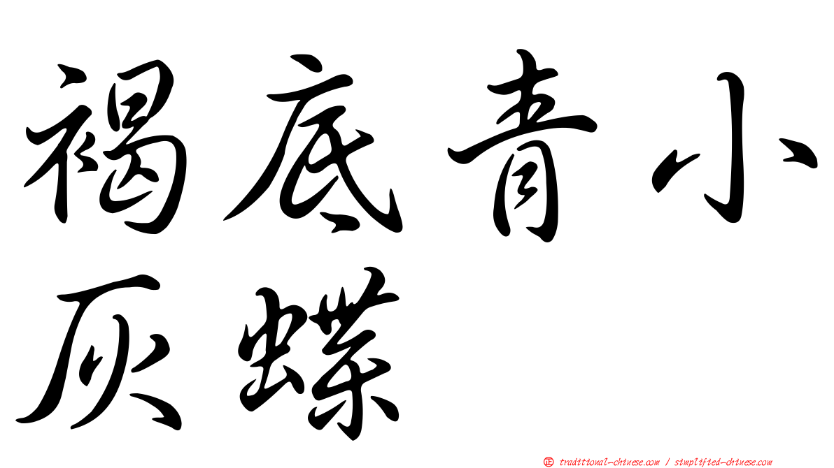 褐底青小灰蝶
