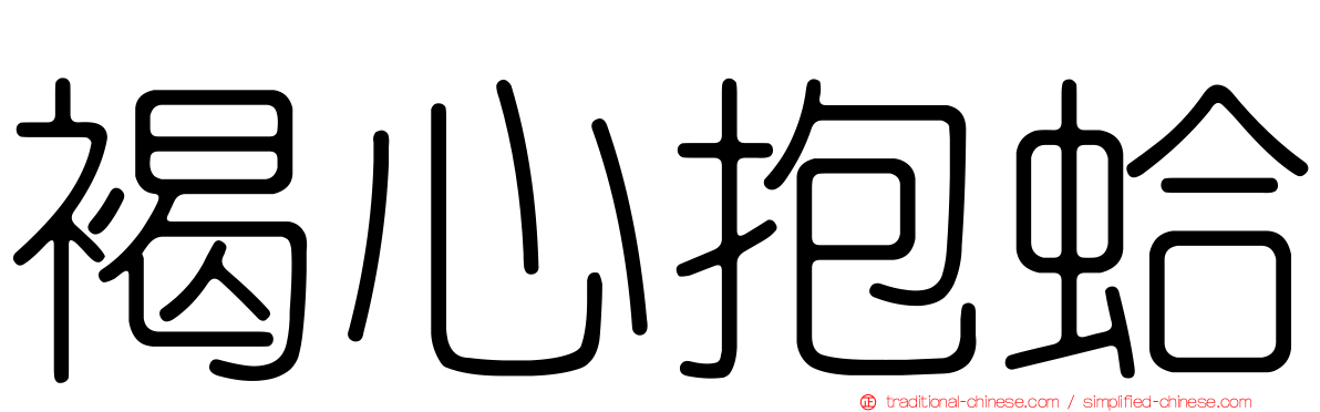 褐心抱蛤