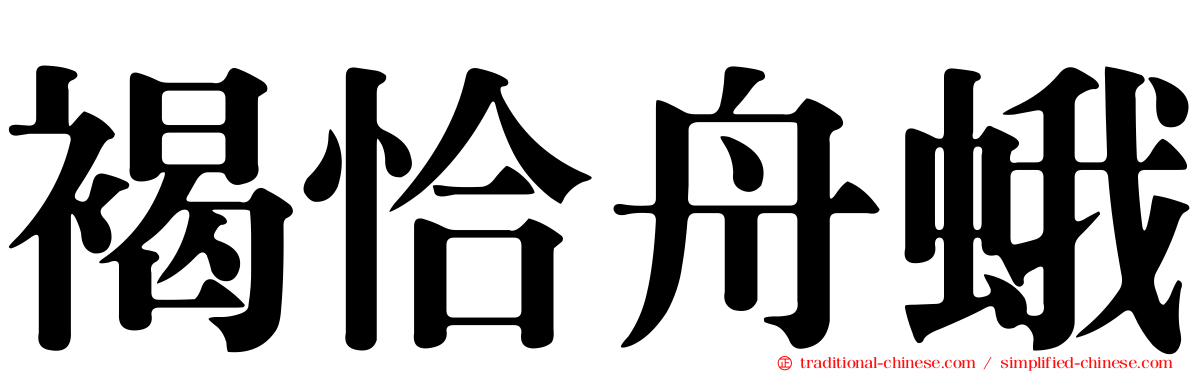 褐恰舟蛾