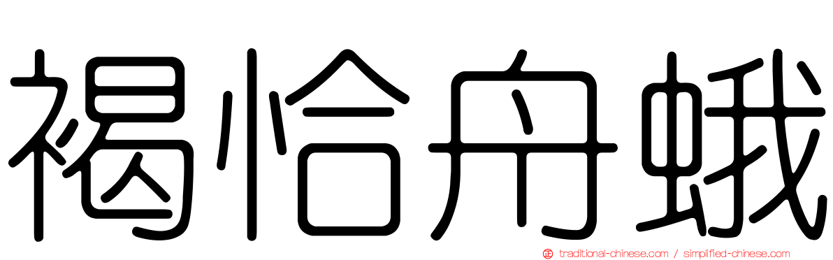 褐恰舟蛾